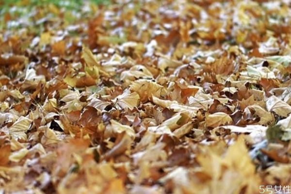 男生第一次約會遲到道歉 男生約會第一次遲到第二次爽約 男生第一次約會遲到道歉 男生約會第一次遲到第二次爽約