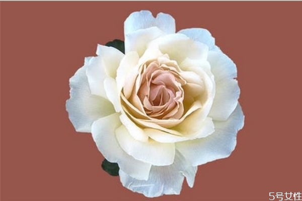 男生喜歡玩曖昧是因為什么 有女朋友還撩妹是渣男 男生喜歡玩曖昧是因為什么 有女朋友還撩妹是渣男