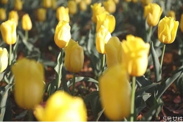 怎樣挽回出軌的丈夫 覺得老公有外遇了怎么辦 怎樣挽回出軌的丈夫 覺得老公有外遇了怎么辦