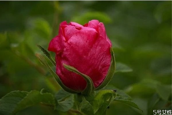 為什么父母反對(duì)姐弟戀 姐弟戀輸?shù)氖钦l(shuí) 為什么父母反對(duì)姐弟戀 姐弟戀輸?shù)氖钦l(shuí)