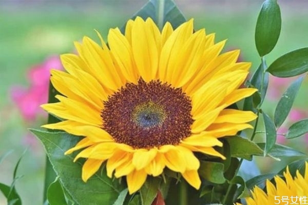 為什么父母反對(duì)姐弟戀 姐弟戀輸?shù)氖钦l(shuí) 為什么父母反對(duì)姐弟戀 姐弟戀輸?shù)氖钦l(shuí)