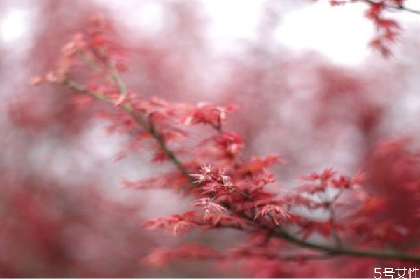 三角戀怎么跟他提分手 怎樣處理三角戀關(guān)系 三角戀怎么跟他提分手 怎樣處理三角戀關(guān)系