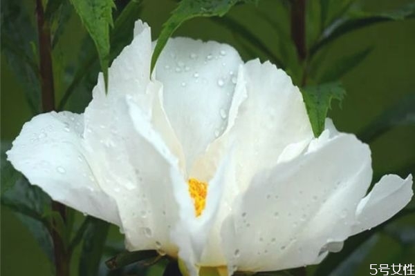 男生喜歡玩曖昧是因為什么 有女朋友還撩妹是渣男 男生喜歡玩曖昧是因為什么 有女朋友還撩妹是渣男