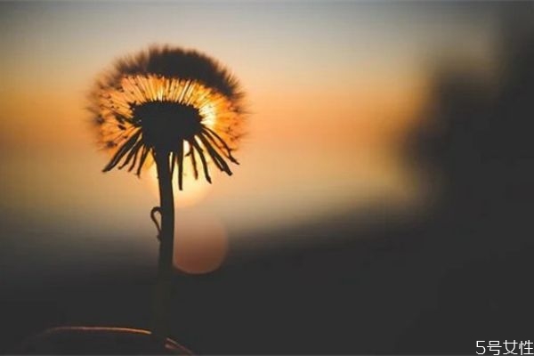 第一次約會(huì)遲到她讓我等半個(gè)小時(shí) 第一次約會(huì)遲到的女生 第一次約會(huì)遲到她讓我等半個(gè)小時(shí) 第一次約會(huì)遲到的女生