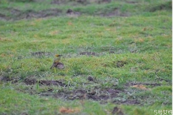 第一次約會(huì)內(nèi)向聊什么 晚上約完會(huì)回去后怎么聊 第一次約會(huì)內(nèi)向聊什么 晚上約完會(huì)回去后怎么聊