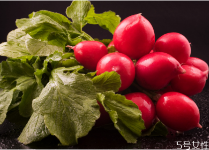 蘿卜纓怎么腌制 蘿卜纓的藥用價值 蘿卜纓怎么腌制 蘿卜纓的藥用價值