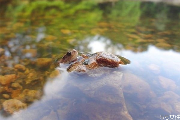 老婆對我徹底死心了怎么辦 老婆對我死心怎么挽回 老婆對我徹底死心了怎么辦 老婆對我死心怎么挽回