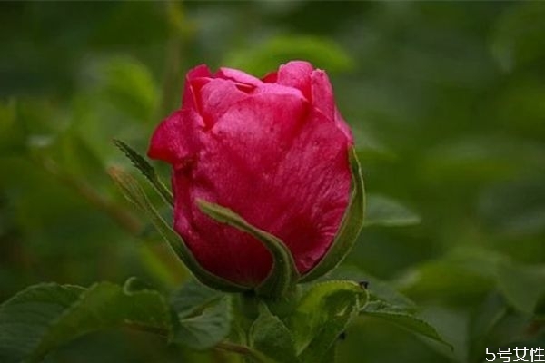 老婆對我徹底死心了怎么辦 老婆對我死心怎么挽回 老婆對我徹底死心了怎么辦 老婆對我死心怎么挽回