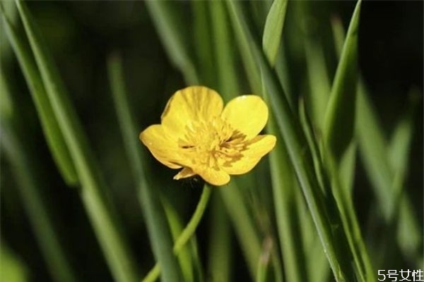 老婆對我徹底死心了怎么辦 老婆對我死心怎么挽回 老婆對我徹底死心了怎么辦 老婆對我死心怎么挽回