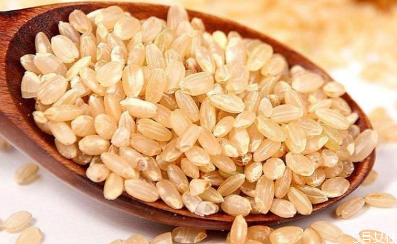 最適合減肥吃的主食 低熱量主食一覽表 最適合減肥吃的主食 低熱量主食一覽表