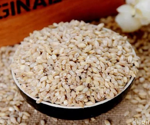 最適合減肥吃的主食 低熱量主食一覽表 最適合減肥吃的主食 低熱量主食一覽表