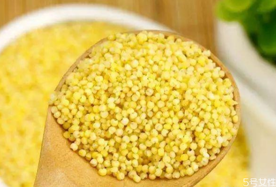 最適合減肥吃的主食 低熱量主食一覽表 最適合減肥吃的主食 低熱量主食一覽表