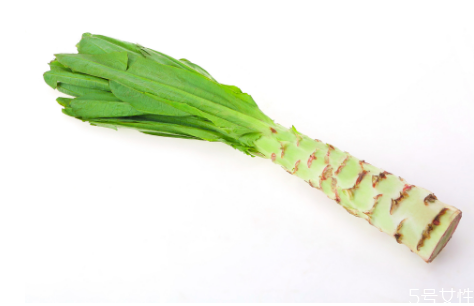 萵筍可以減肥嗎 萵筍二青和三青的區(qū)別 萵筍可以減肥嗎 萵筍二青和三青的區(qū)別
