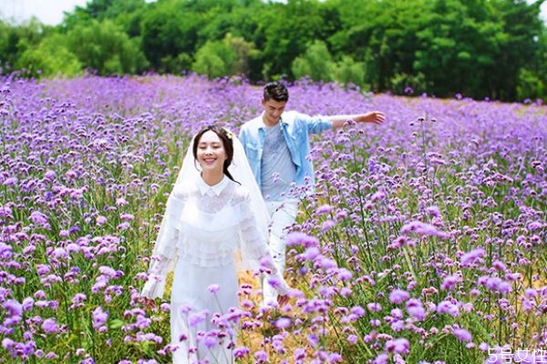 結(jié)婚之前需要想好什么 嫁人看對方父母 結(jié)婚之前需要想好什么 嫁人看對方父母