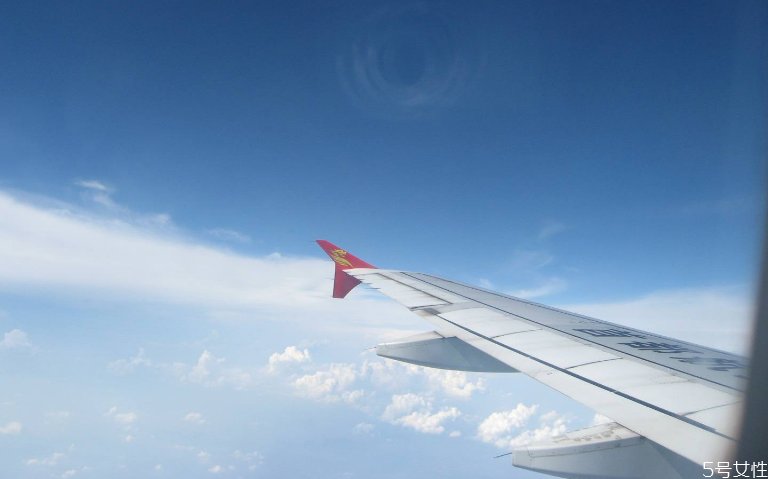 飛機(jī)上能帶熟食肉類(lèi)嗎 飛機(jī)上哪些食品不能帶 飛機(jī)上能帶熟食肉類(lèi)嗎 飛機(jī)上哪些食品不能帶