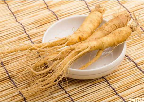 人參大的好還是小的好 人參須越長越好嗎 人參大的好還是小的好 人參須越長越好嗎