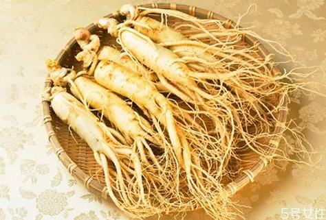 人參大的好還是小的好 人參須越長越好嗎 人參大的好還是小的好 人參須越長越好嗎