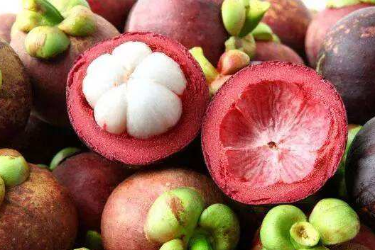 山竹可以減肥嗎 減肥期間吃山竹會長胖嗎 山竹可以減肥嗎 減肥期間吃山竹會長胖嗎