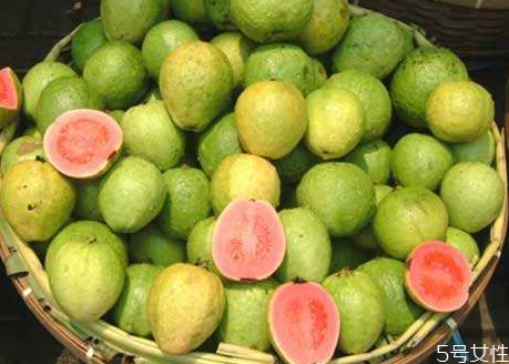 芭樂(lè)和什么水果味道像 芭樂(lè)沒(méi)熟怎么辦 芭樂(lè)和什么水果味道像 芭樂(lè)沒(méi)熟怎么辦