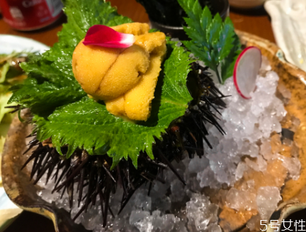 海膽的刺有毒嗎 被海膽扎了怎么處理 海膽的刺有毒嗎 被海膽扎了怎么處理