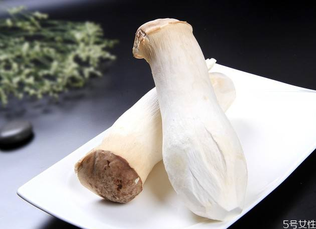 吃杏鮑菇中毒的癥狀 吃杏鮑菇中毒了怎么辦 吃杏鮑菇中毒的癥狀 吃杏鮑菇中毒了怎么辦