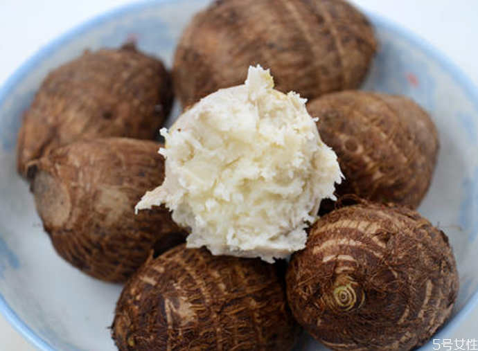 毛芋頭和芋頭的區(qū)別 毛芋頭可以做芋泥嗎 毛芋頭和芋頭的區(qū)別 毛芋頭可以做芋泥嗎