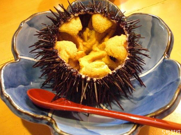 海膽生吃什么味道 新鮮海膽怎么直接吃 海膽生吃什么味道 新鮮海膽怎么直接吃