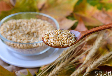 寶寶可以吃糙米嗎 寶寶多大可以吃糙米 寶寶可以吃糙米嗎 寶寶多大可以吃糙米