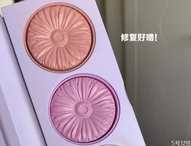 腮紅摔碎怎么復原 腮紅脫盤怎么固定回去 腮紅摔碎怎么復原 腮紅脫盤怎么固定回去