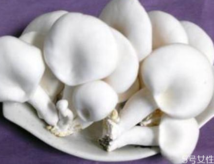 白靈菇怎么做好吃 白靈菇孕婦可以吃嗎