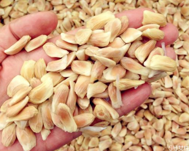 柚子籽可以吃嗎 柚子大籽和小籽區(qū)別 柚子籽可以吃嗎 柚子大籽和小籽區(qū)別