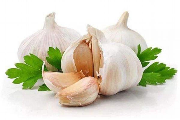 大蒜怎么種 怎樣種蒜的正確過程 大蒜怎么種 怎樣種蒜的正確過程