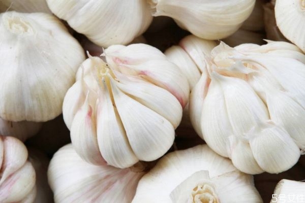 大蒜怎么種 怎樣種蒜的正確過程 大蒜怎么種 怎樣種蒜的正確過程