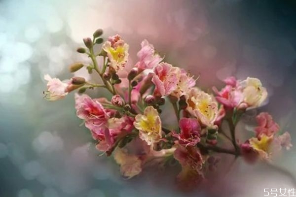 拒絕過的男生還能挽回么 男生放棄后還會(huì)回頭嗎 拒絕過的男生還能挽回么 男生放棄后還會(huì)回頭嗎