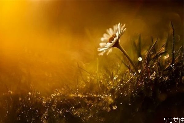 女人死心了怎么樣挽回她 女人死心的表現(xiàn) 女人死心了怎么樣挽回她 女人死心的表現(xiàn)