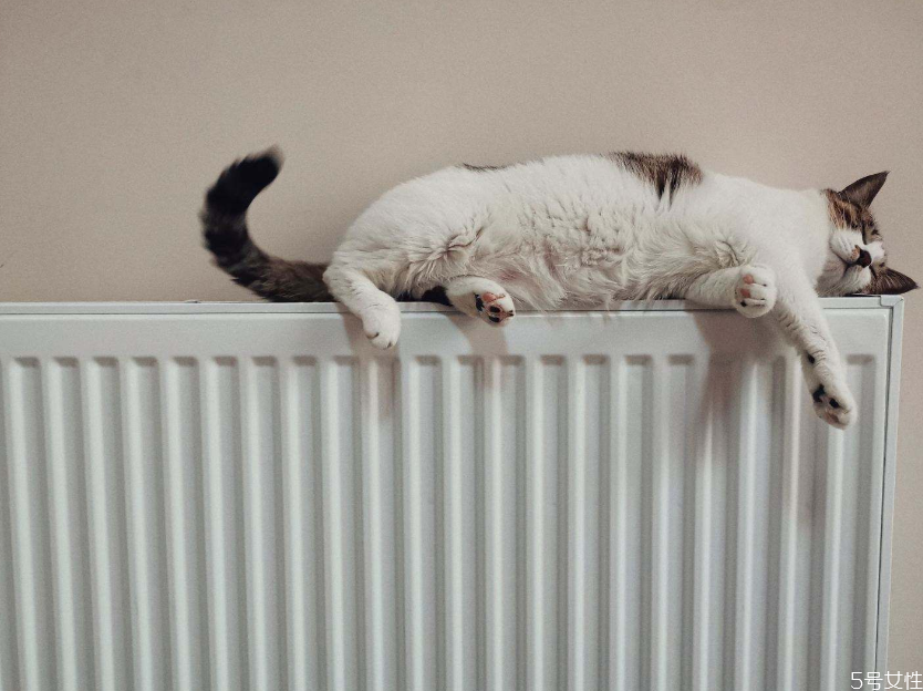 新型暖氣片怎么放氣 暖氣不熱怎么解決 新型暖氣片怎么放氣 暖氣不熱怎么解決