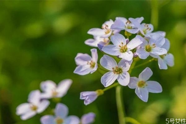 女人死心了怎么樣挽回她 女人死心的表現(xiàn) 女人死心了怎么樣挽回她 女人死心的表現(xiàn)