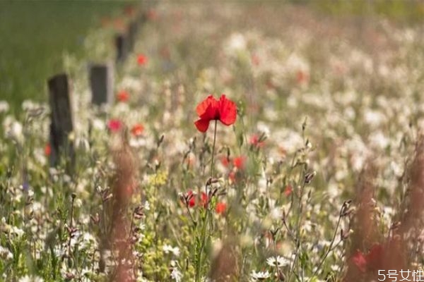 女人死心了還會(huì)回頭嗎 女人死心分手需要冷靜多久 女人死心了還會(huì)回頭嗎 女人死心分手需要冷靜多久