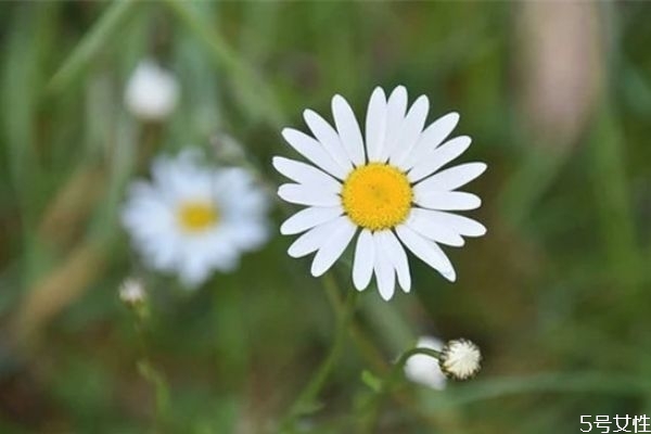 網(wǎng)戀分手該怎么挽回 網(wǎng)戀分手了會復(fù)合嗎 網(wǎng)戀分手該怎么挽回 網(wǎng)戀分手了會復(fù)合嗎