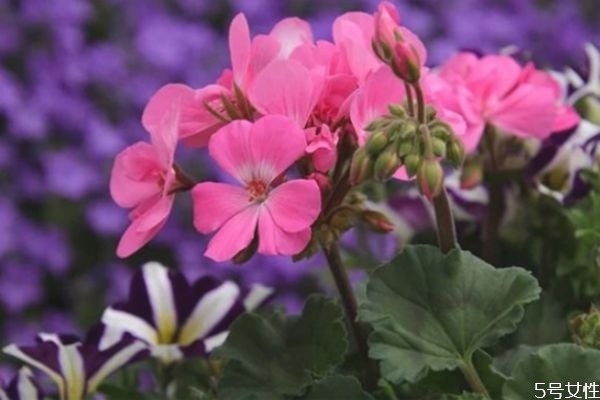 為什么男朋友總說(shuō)自己沒(méi)本事 男人在女人面前自卑的表現(xiàn) 為什么男朋友總說(shuō)自己沒(méi)本事 男人在女人面前自卑的表現(xiàn)