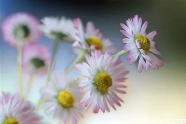 為什么男朋友總說(shuō)自己沒(méi)本事 男人在女人面前自卑的表現(xiàn) 為什么男朋友總說(shuō)自己沒(méi)本事 男人在女人面前自卑的表現(xiàn)