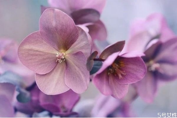 為什么男朋友總說(shuō)自己沒(méi)本事 男人在女人面前自卑的表現(xiàn) 為什么男朋友總說(shuō)自己沒(méi)本事 男人在女人面前自卑的表現(xiàn)