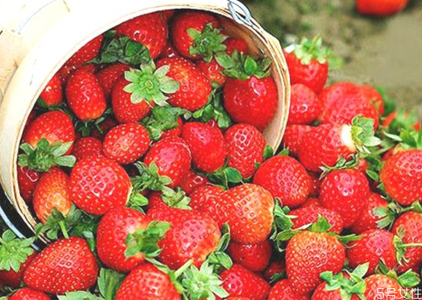 冬天草莓貴嗎 冬天草莓是反季節(jié)嗎 冬天草莓貴嗎 冬天草莓是反季節(jié)嗎