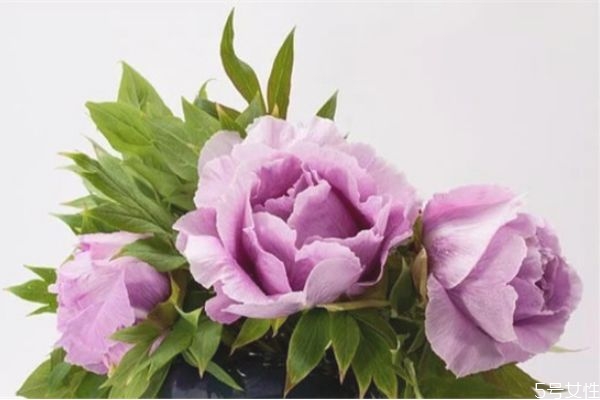 婚外情男人越絕情越說明 男人結(jié)束婚外情的手段 婚外情男人越絕情越說明 男人結(jié)束婚外情的手段