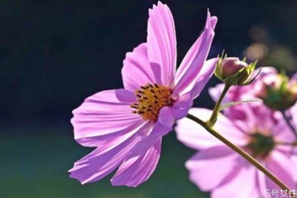 男人死心的表現(xiàn)有哪些 男人這幾個(gè)表現(xiàn)是在等你說分手 男人死心的表現(xiàn)有哪些 男人這幾個(gè)表現(xiàn)是在等你說分手