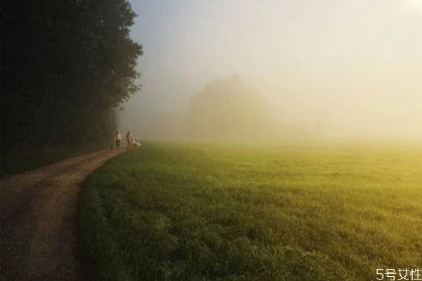 原生家庭pua是什么意思 原生家庭pua如何逃離 原生家庭pua是什么意思 原生家庭pua如何逃離