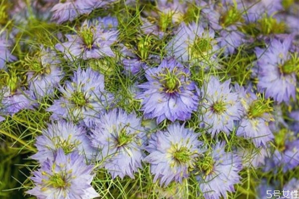 老婆出軌了還能原諒嗎 出軌一次可以原諒嗎 老婆出軌了還能原諒嗎 出軌一次可以原諒嗎