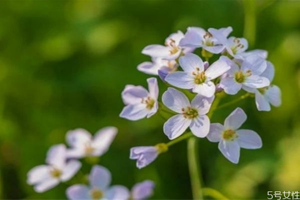 老婆為了錢出軌了還能要嗎 婚外情女人變心的表現(xiàn) 老婆為了錢出軌了還能要嗎 婚外情女人變心的表現(xiàn)