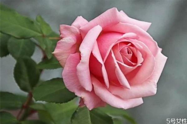 婚外情維持多久會(huì)分手 婚外情分手了會(huì)復(fù)合嗎 婚外情維持多久會(huì)分手 婚外情分手了會(huì)復(fù)合嗎