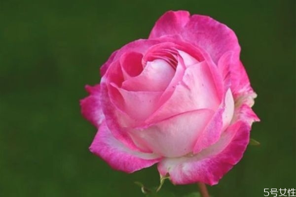 老婆和我冷戰(zhàn)怎么辦 如何緩解夫妻長(zhǎng)期冷戰(zhàn) 老婆和我冷戰(zhàn)怎么辦 如何緩解夫妻長(zhǎng)期冷戰(zhàn)